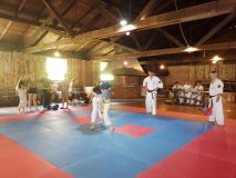 IMG_20200715_125703-Copy