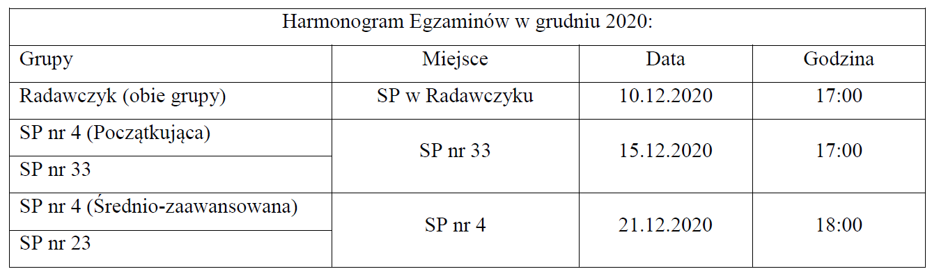 Egzaminy na stopnie uczniowskie KYU – Grudzień 2020