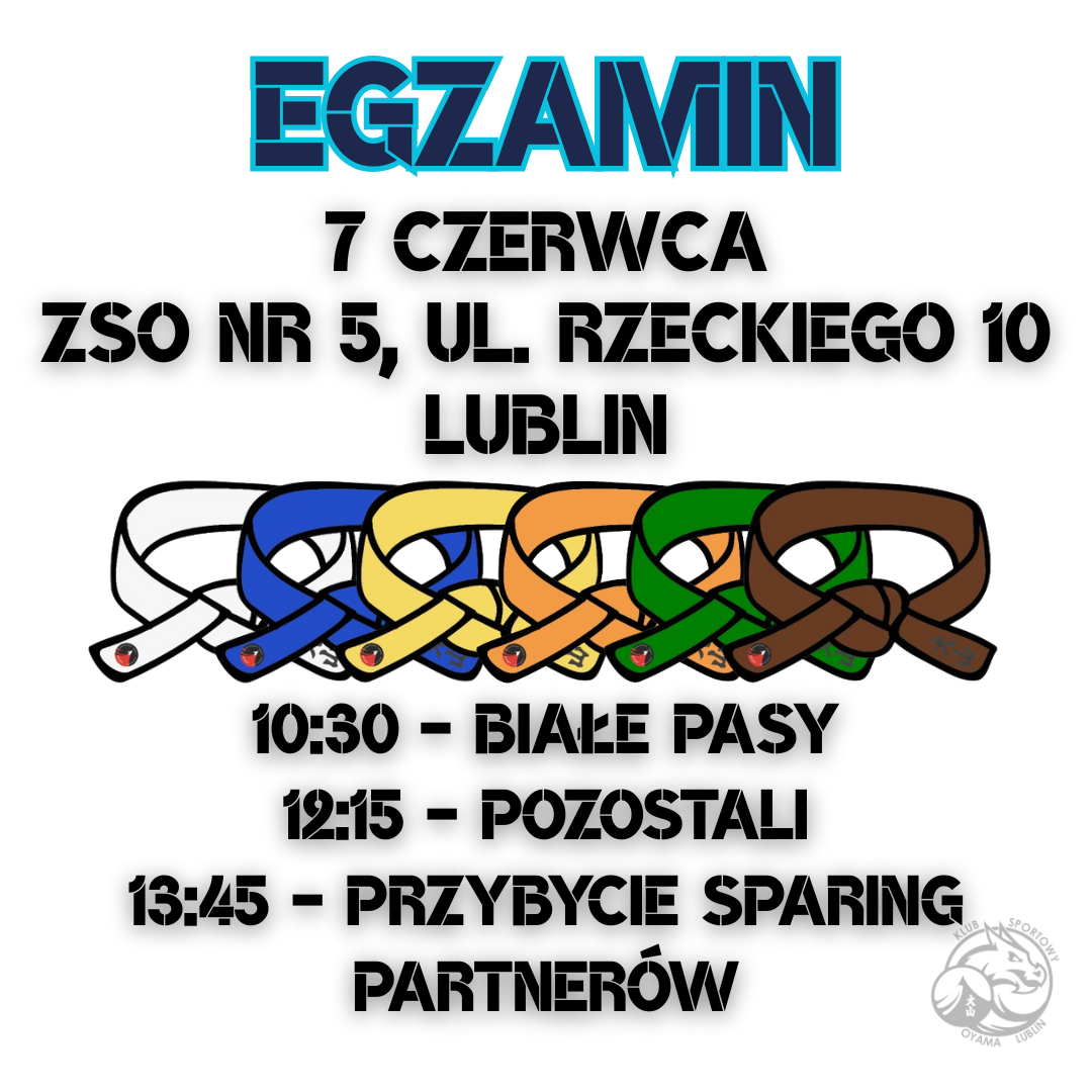 Read more about the article Egzamin na stopnie KYU – 7 czerwca